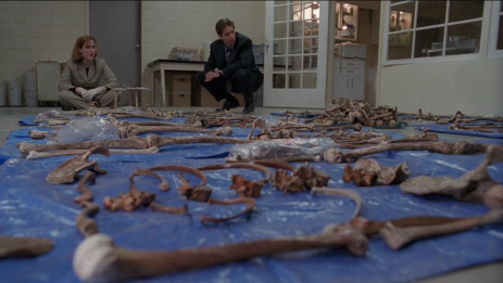 Knochenjob für Mulder und Scully.
